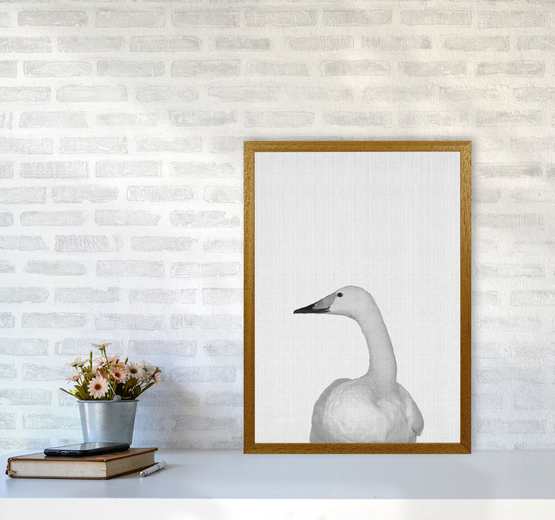 The Case Of The Lost Goose Art Print by Jason Stanley A2 Print Only