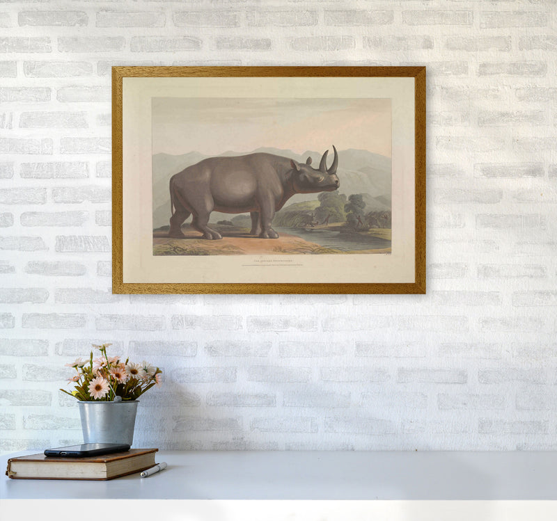 Vintage Rhino Illustration Art Print by Jason Stanley A2 Print Only