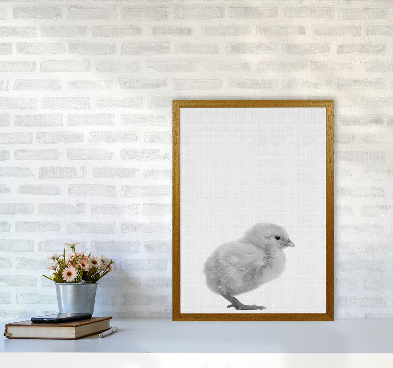 Just Me And My Chick Copy Art Print by Jason Stanley A2 Print Only