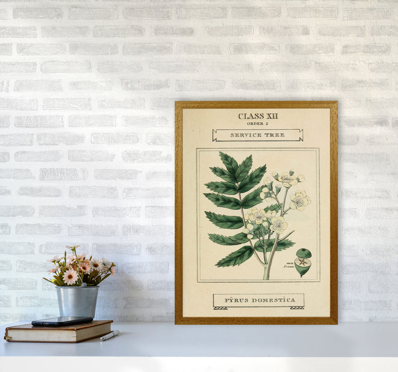 Vintage Flower Series 5 Art Print by Jason Stanley A2 Print Only