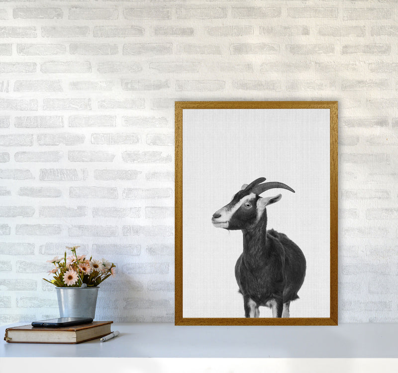 This Goat Takes The Cake Art Print by Jason Stanley A2 Print Only