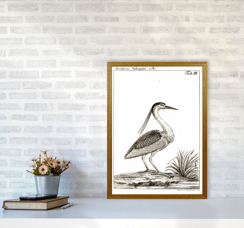 Vintage Hunting Bird Art Print by Jason Stanley A2 Print Only