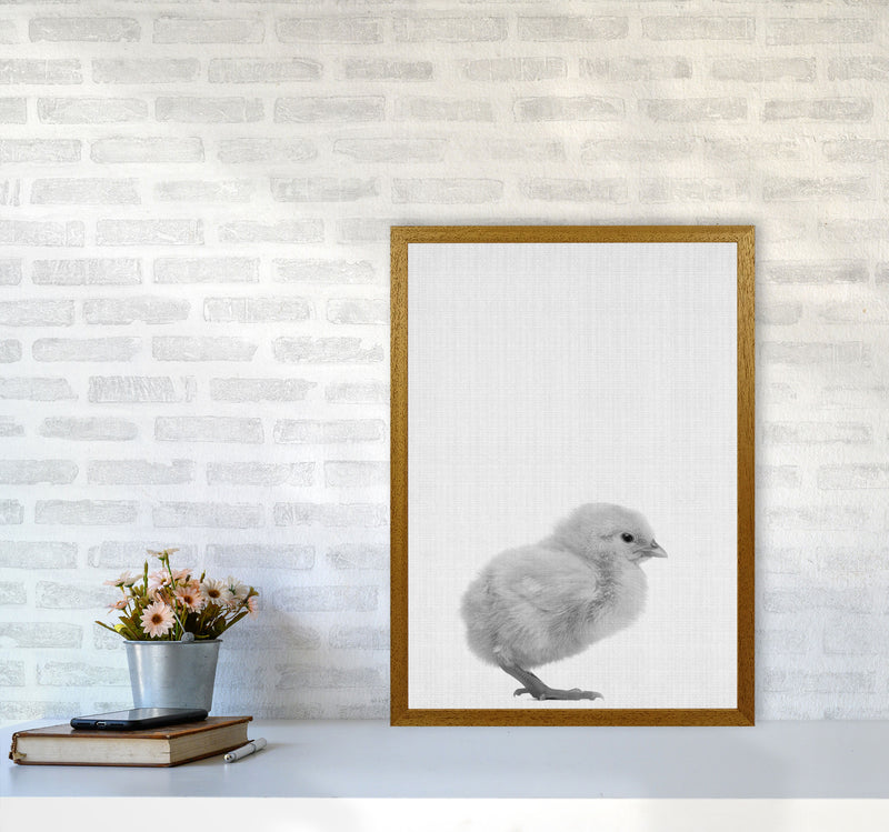 Just Me And My Chick Art Print by Jason Stanley A2 Print Only