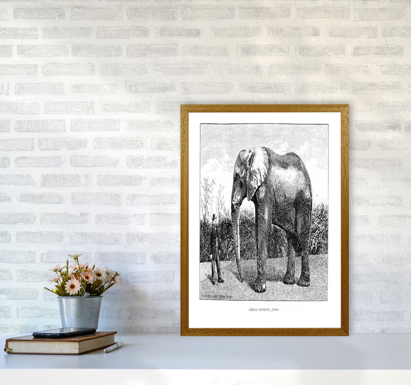 African Elephant Art Print by Jason Stanley A2 Print Only