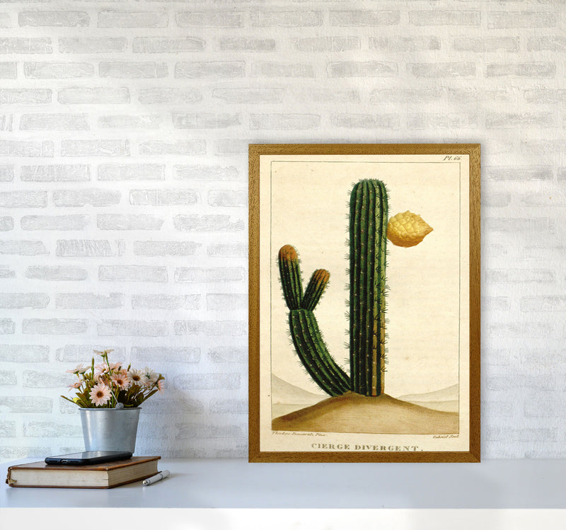 Vintage Cactus II Art Print by Jason Stanley A2 Print Only