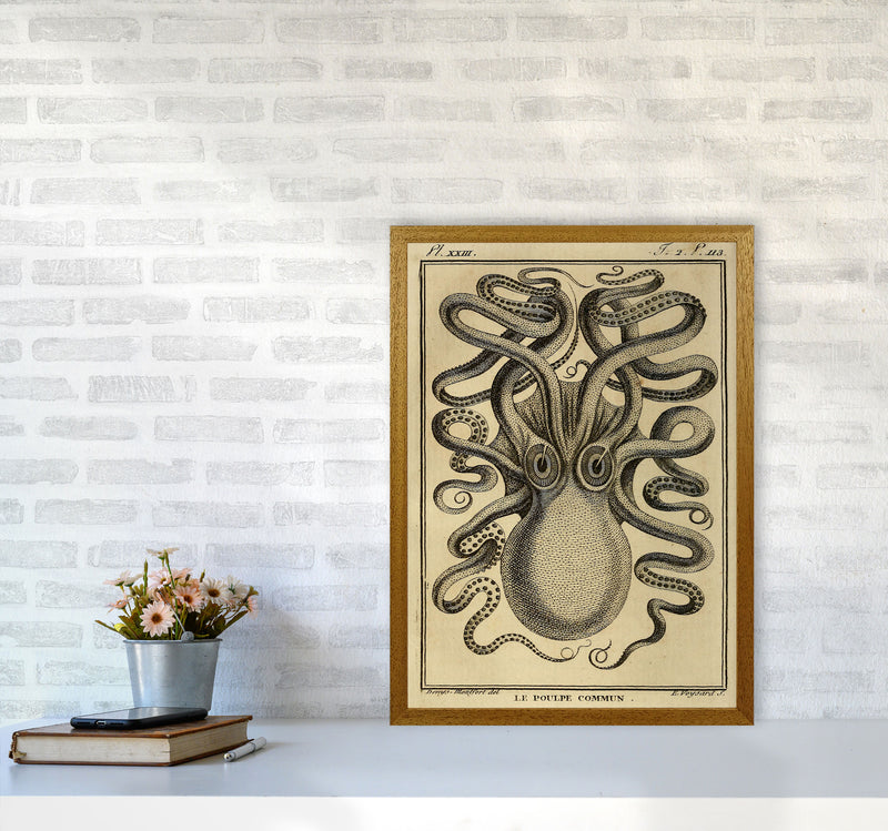 Vintage Octopus 2 Art Print by Jason Stanley A2 Print Only