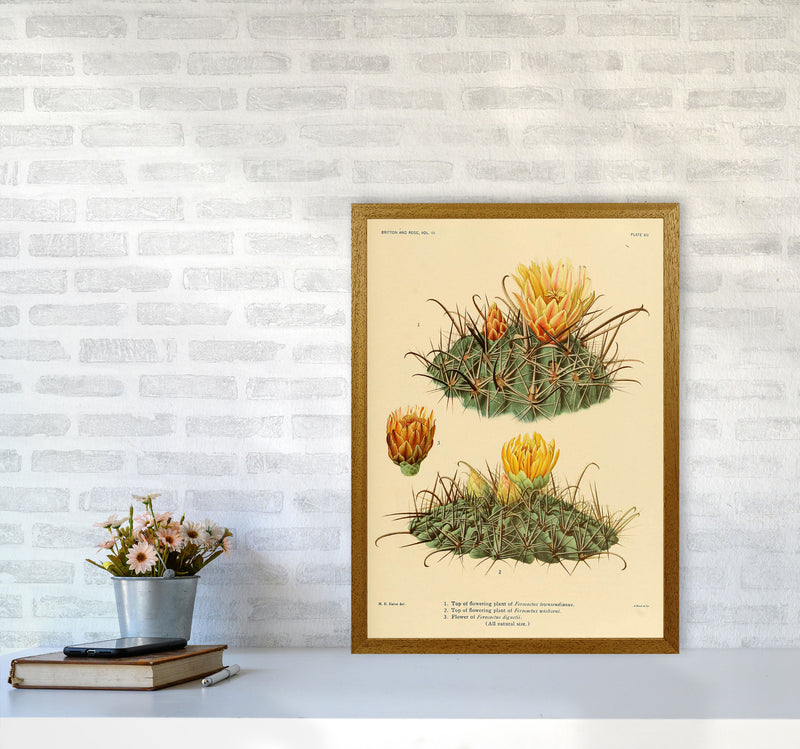 Cactus Series 9 Art Print by Jason Stanley A2 Print Only