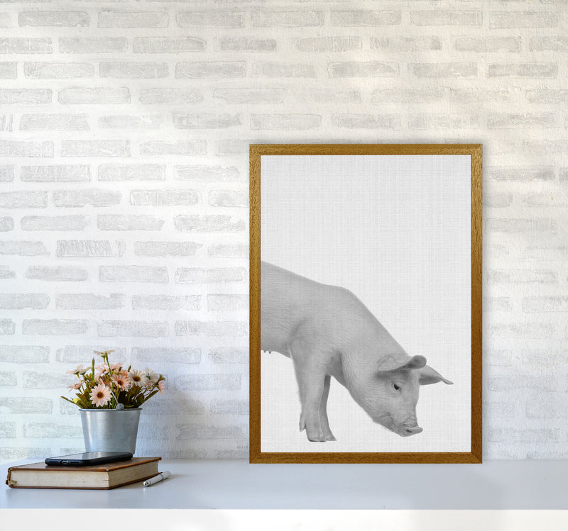 The Cleanest Pig Art Print by Jason Stanley A2 Print Only