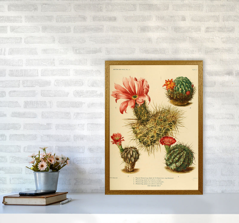 Cactus Series 4 Art Print by Jason Stanley A2 Print Only