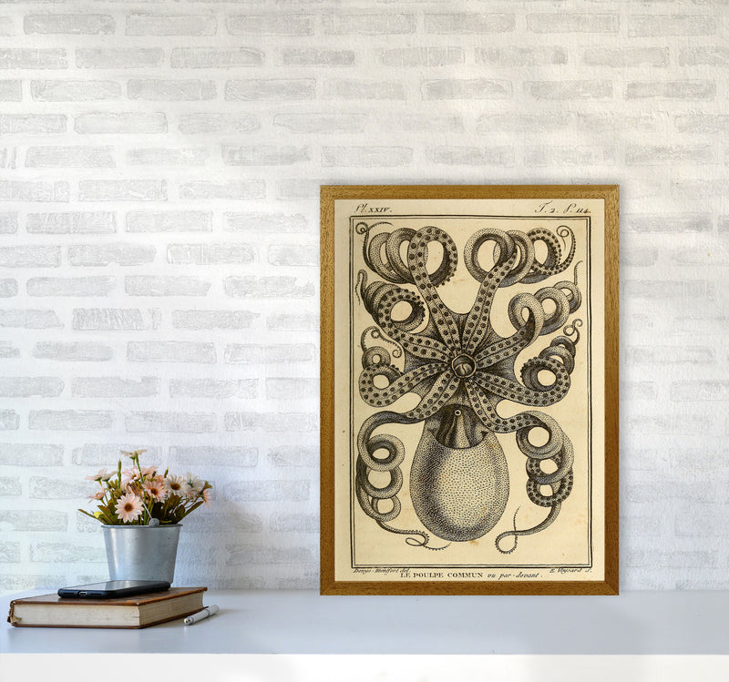 Vintage Octopus Art Print by Jason Stanley A2 Print Only