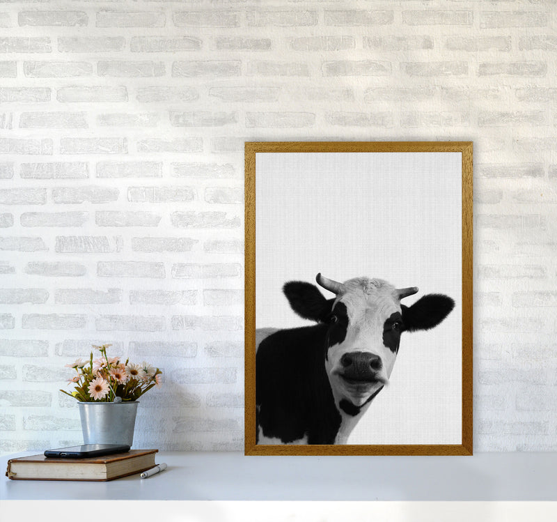 Holy Cow Art Print by Jason Stanley A2 Print Only