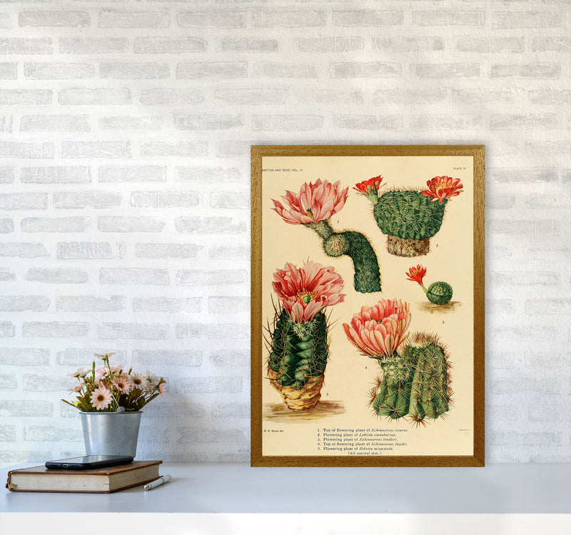 Cactus Series 3 Art Print by Jason Stanley A2 Print Only