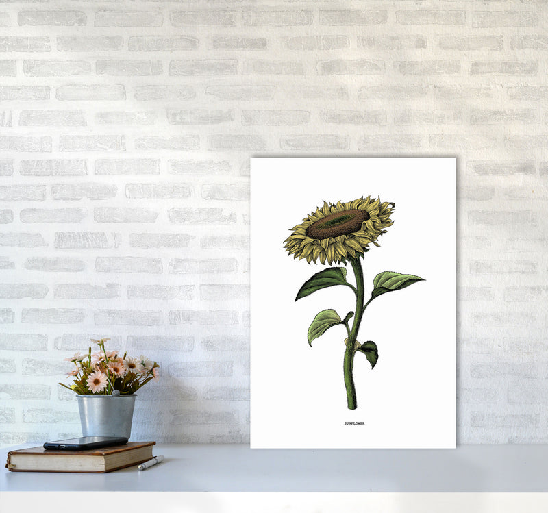 Sunflowers For President Art Print by Jason Stanley A2 Black Frame