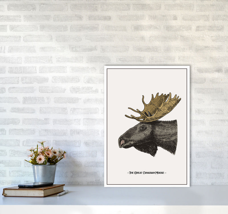 The Great Canadian Moose Art Print by Jason Stanley A2 Black Frame