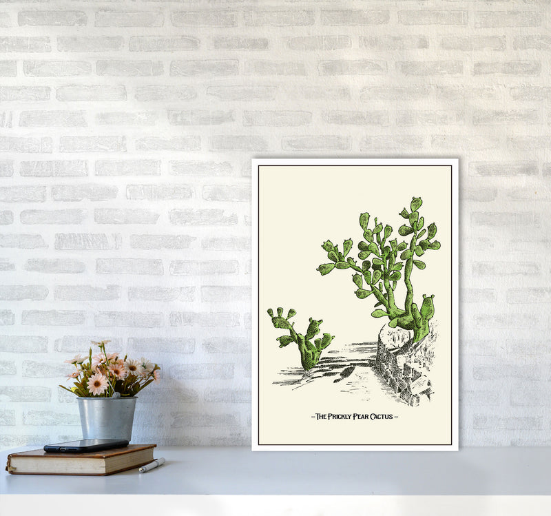 The Prickly Pear Cactus Art Print by Jason Stanley A2 Black Frame