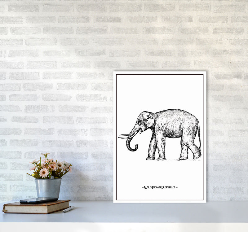 Wild Indian Elephant Art Print by Jason Stanley A2 Black Frame