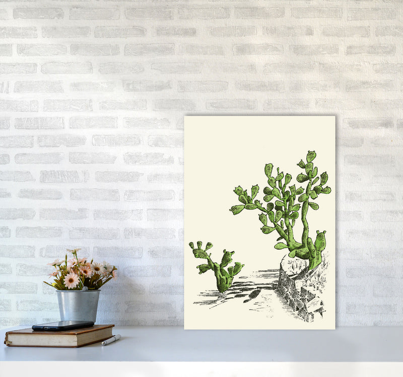 Prickly Pear Cactus Art Print by Jason Stanley A2 Black Frame