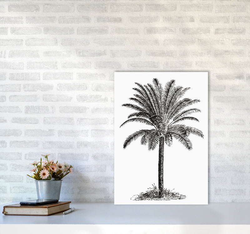 Vintage Palm Tree Art Print by Jason Stanley A2 Black Frame
