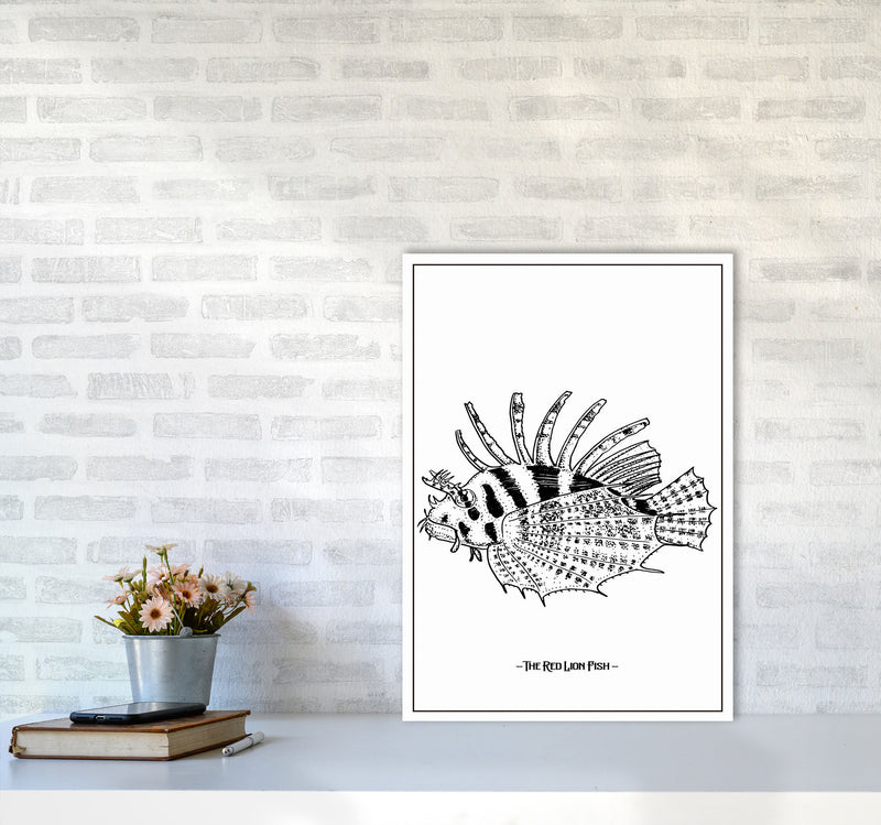 The Red Lion Fish Art Print by Jason Stanley A2 Black Frame