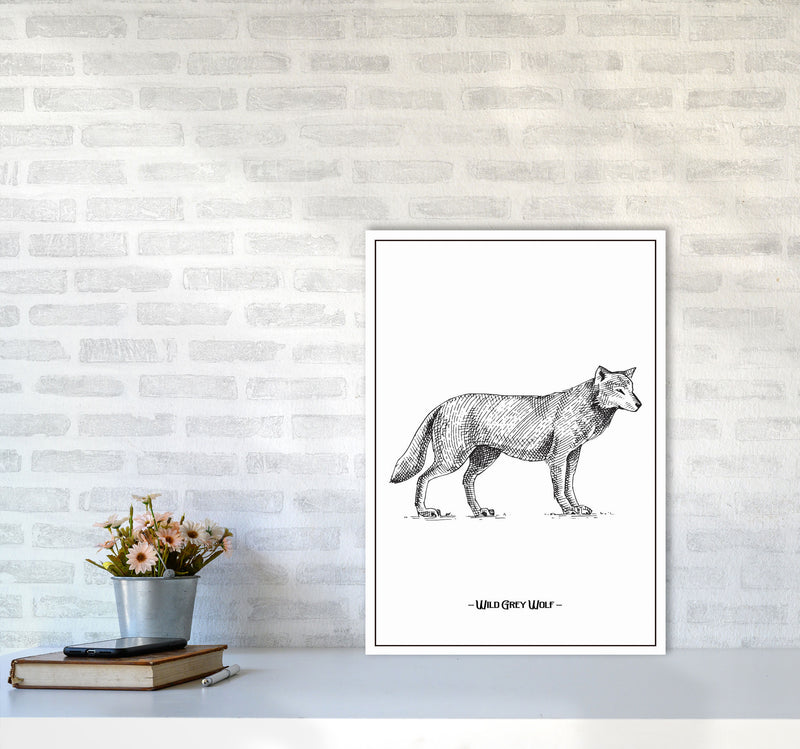 Wild Grey Wolf Art Print by Jason Stanley A2 Black Frame