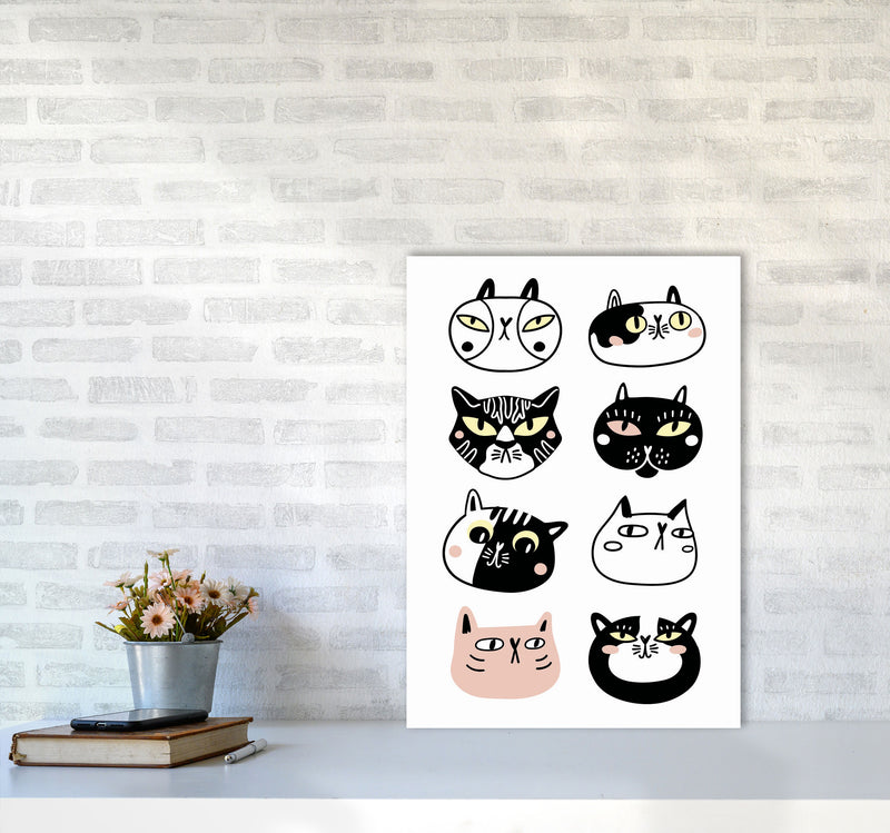 Crazy Cat Lady Art Print by Jason Stanley A2 Black Frame