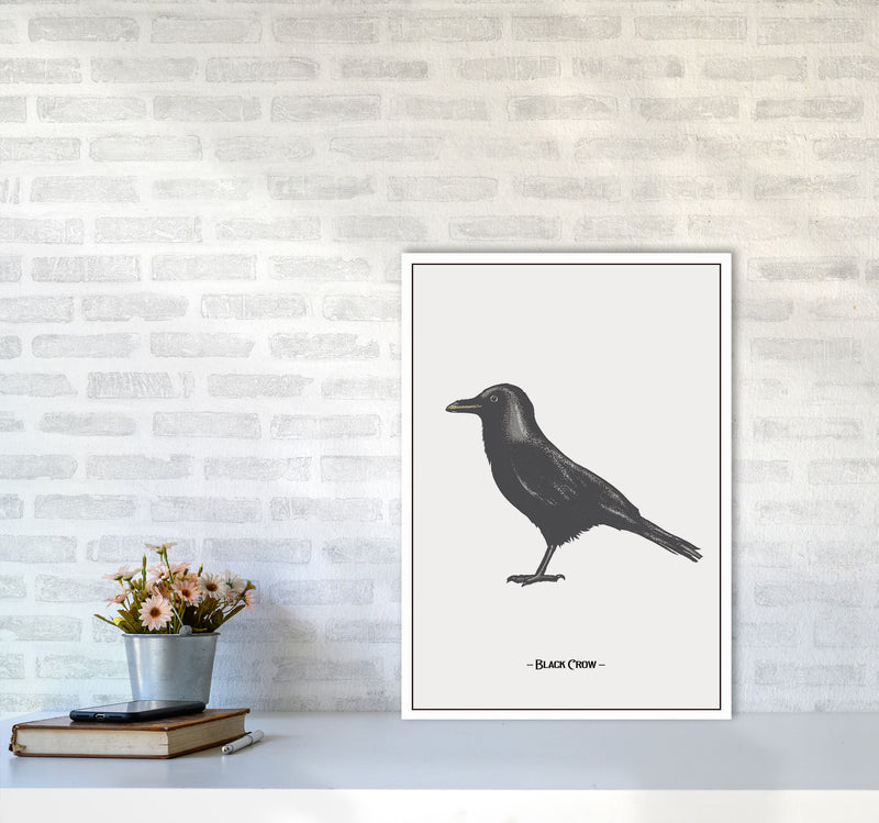 The Black Crow Art Print by Jason Stanley A2 Black Frame