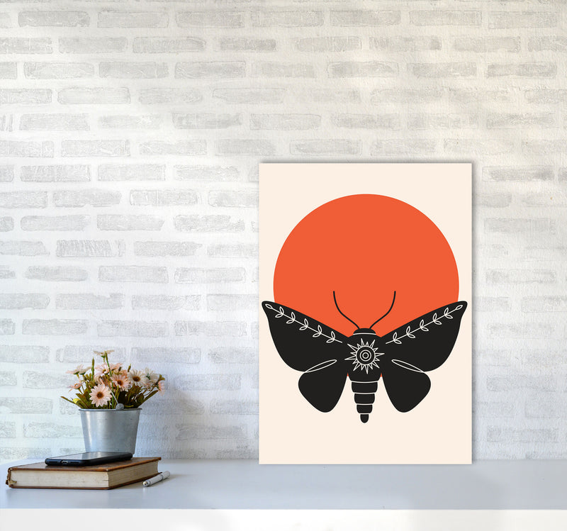 Sunshine Moth Art Print by Jason Stanley A2 Black Frame