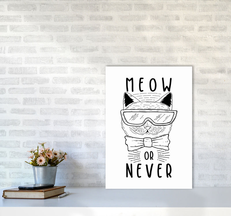 Meow Or Never Art Print by Jason Stanley A2 Black Frame
