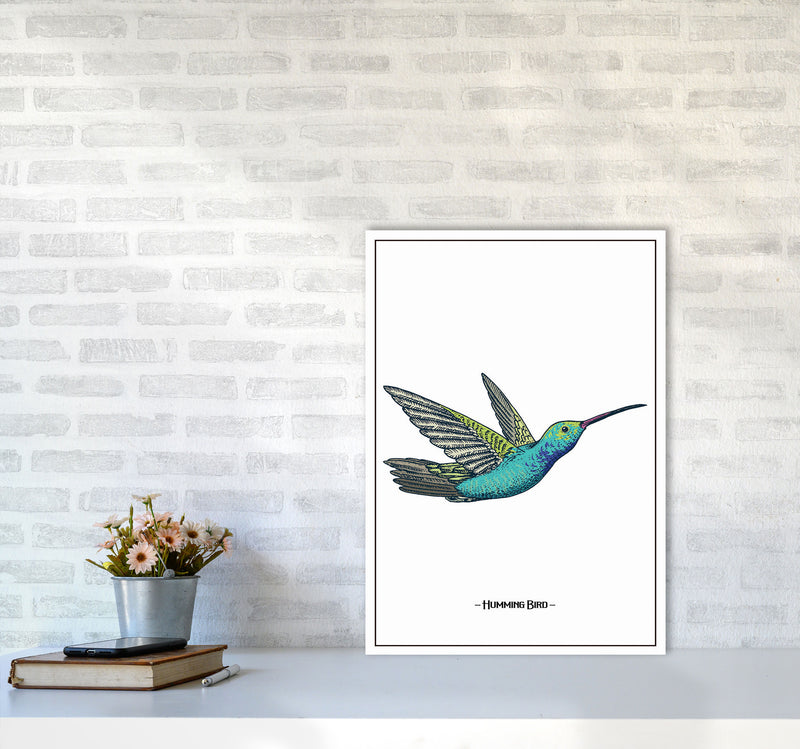 Humming Bird Art Print by Jason Stanley A2 Black Frame