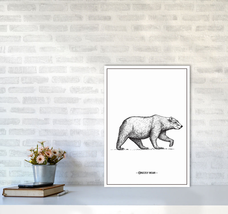 Grizzly Bear Art Print by Jason Stanley A2 Black Frame