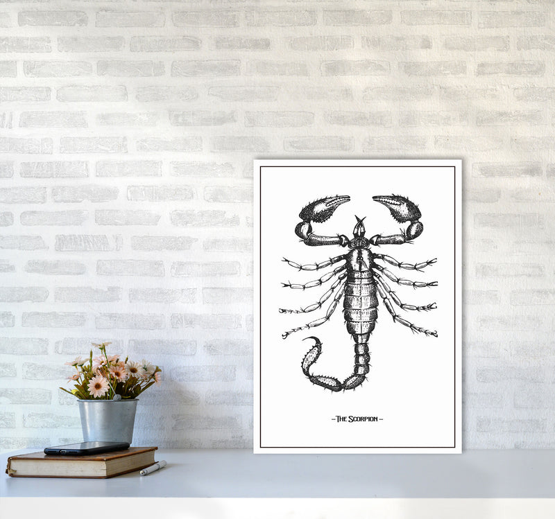 The Scorpion Art Print by Jason Stanley A2 Black Frame