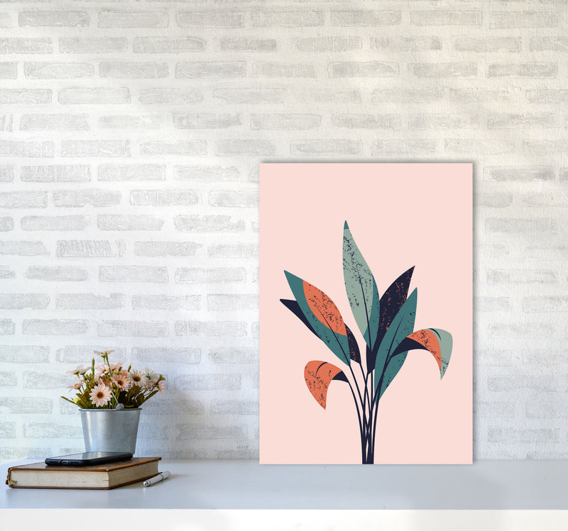 Pink Plant Art Print by Jason Stanley A2 Black Frame