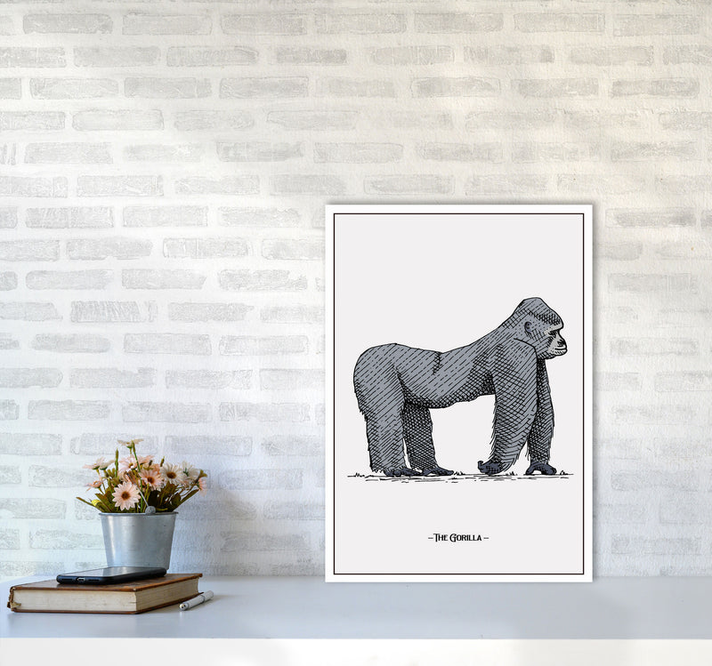 The Gorilla Art Print by Jason Stanley A2 Black Frame
