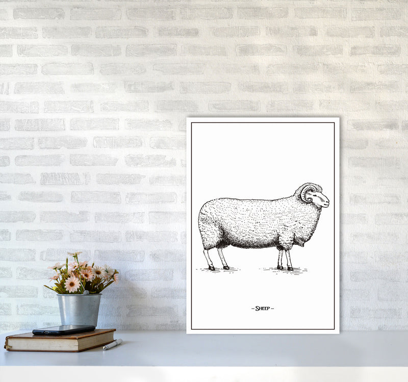 Sheep Art Print by Jason Stanley A2 Black Frame