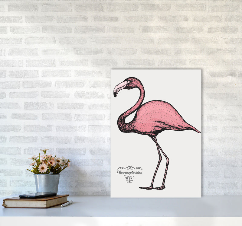 Flamingo Art Print by Jason Stanley A2 Black Frame