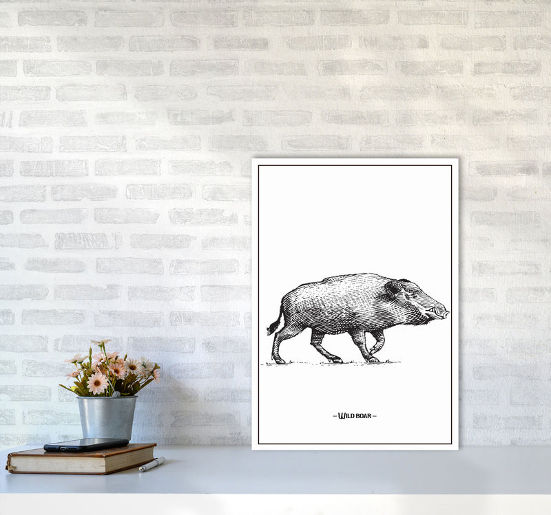 Wild Boar Art Print by Jason Stanley A2 Black Frame