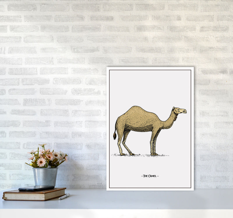 The Camel Art Print by Jason Stanley A2 Black Frame