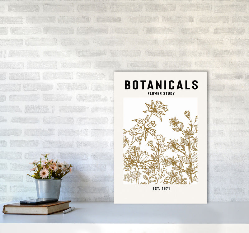 Botanicals Flower Study II Art Print by Jason Stanley A2 Black Frame