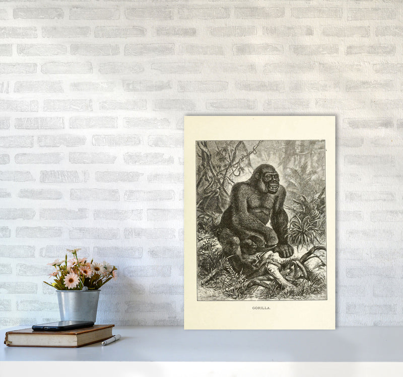 The Other King Of The Jungle Art Print by Jason Stanley A2 Black Frame
