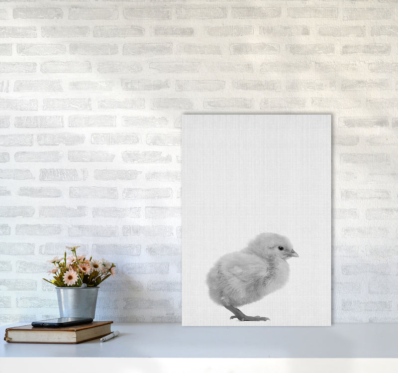 Just Me And My Chick Copy Art Print by Jason Stanley A2 Black Frame