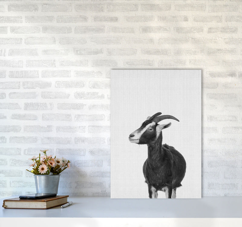 This Goat Takes The Cake Art Print by Jason Stanley A2 Black Frame
