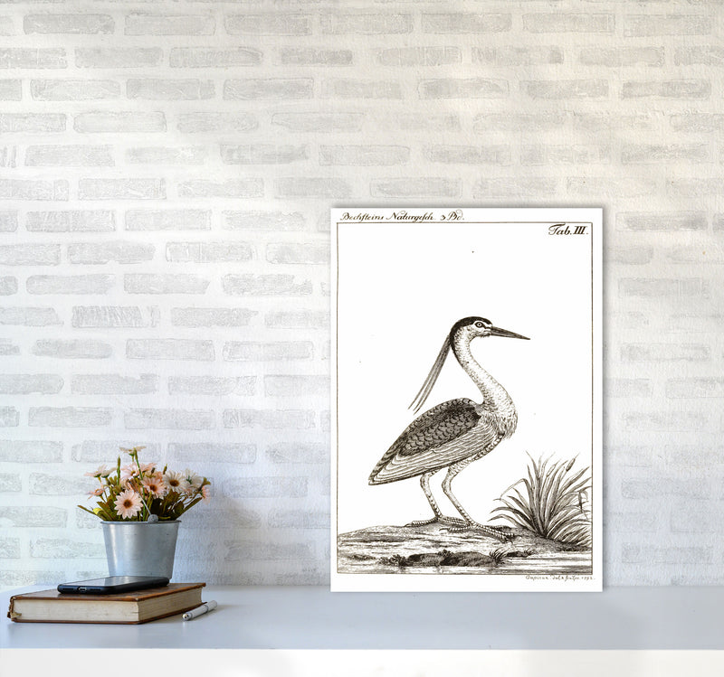 Vintage Hunting Bird Art Print by Jason Stanley A2 Black Frame