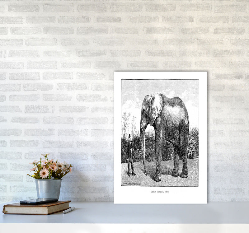 African Elephant Art Print by Jason Stanley A2 Black Frame