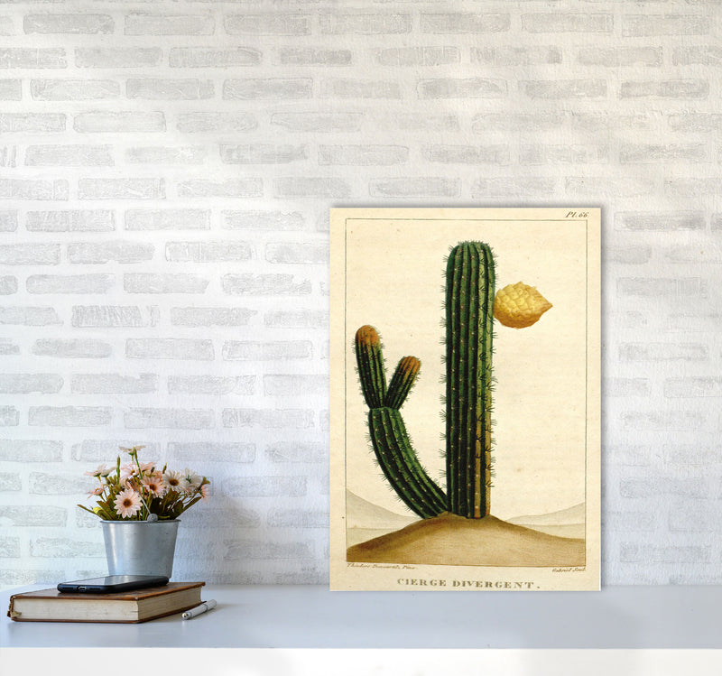 Vintage Cactus II Art Print by Jason Stanley A2 Black Frame