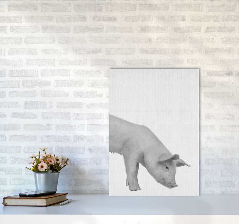 The Cleanest Pig Art Print by Jason Stanley A2 Black Frame