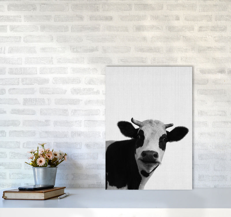Holy Cow Art Print by Jason Stanley A2 Black Frame