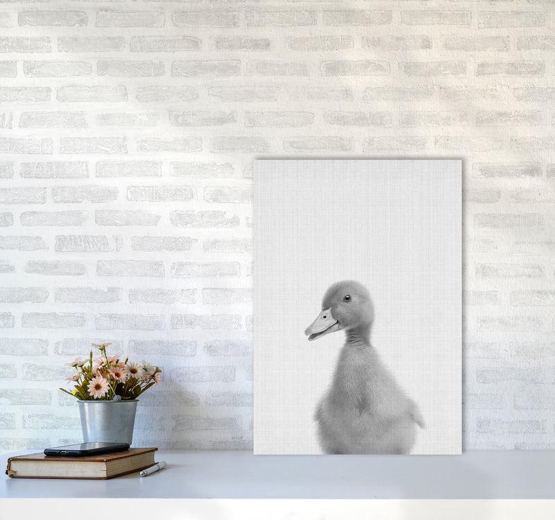 Curious Duck Art Print by Jason Stanley A2 Black Frame
