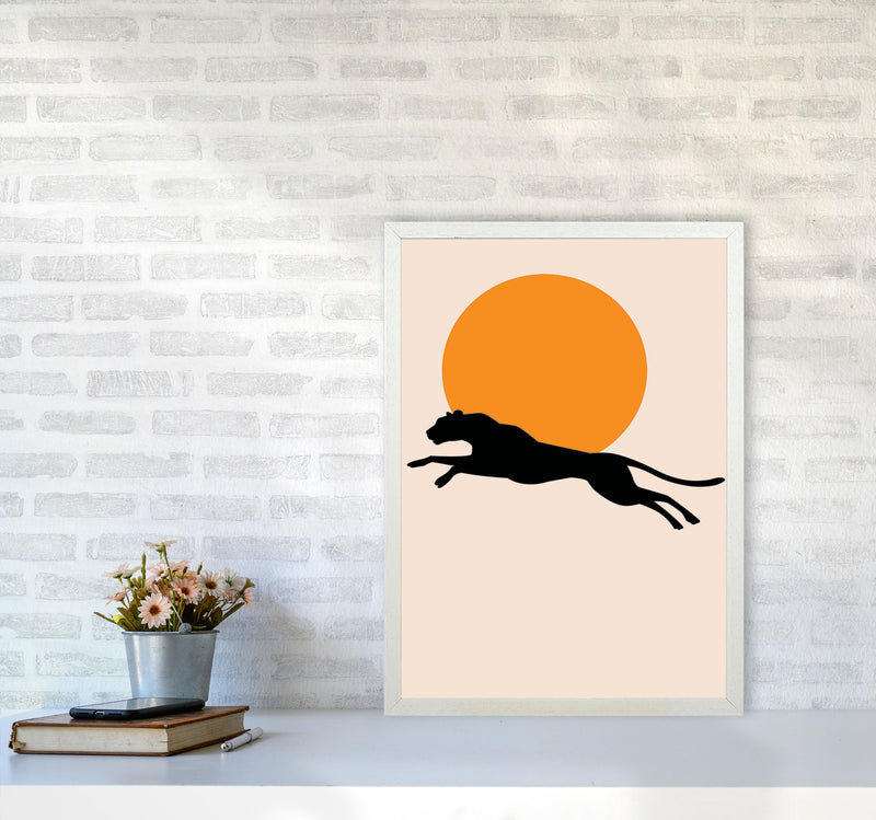 Leaping Leopard Sun Poster Art Print by Jason Stanley A2 Oak Frame