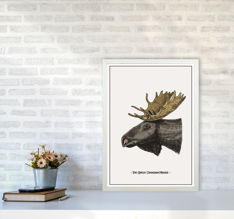 The Great Canadian Moose Art Print by Jason Stanley A2 Oak Frame