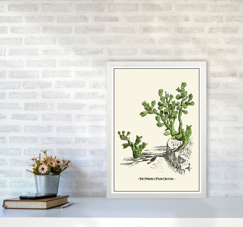 The Prickly Pear Cactus Art Print by Jason Stanley A2 Oak Frame